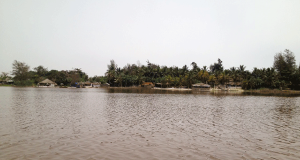 Lac Rose