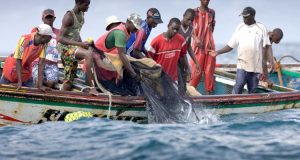 la pêche au Sénégal