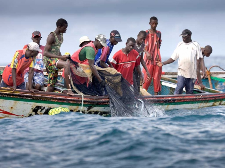 la pêche au Sénégal