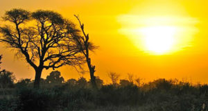 Soleil Senegal