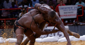 La lutte Sénégalaise
