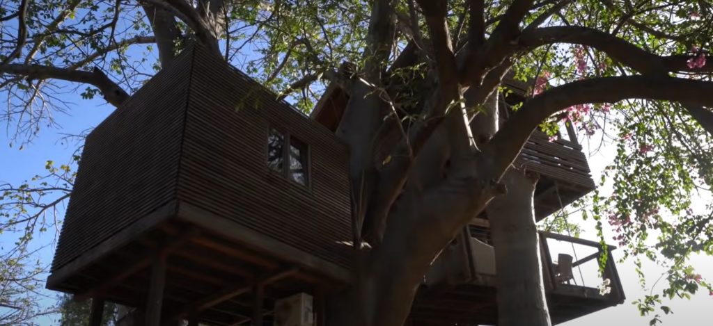 Activité insolite : dormir dans un arbre baobab à Sine Saloum au Sénégal