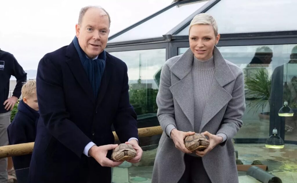 Le prince Albert et sa femme Charlène qui supervisent le départ des tortues de l'institut océanographique de Monaco vers le Sénégal 