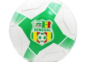 Le Sénégal renonce à l'organisation de la CAN 2027