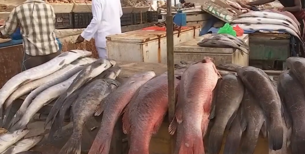 Marché poisson Soumbédioune