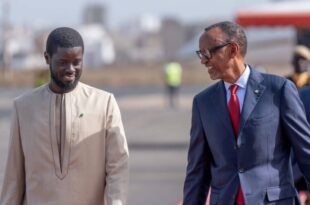 Accueil chaleureux de Bassirou Diomaye Faye à Paul Kagamé, le président du Rwanda, en visite au Sénégal