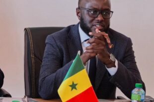 L'ex-ministre des transports et membre de Pastef, El Malick Ndiaye devient le plus jeune président de l'Assemblée nationale du Sénégal